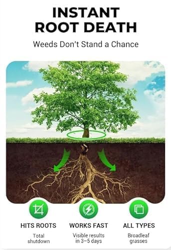 Cyclosinone Herbicide Granules, 200g Each (Pack Of 2)