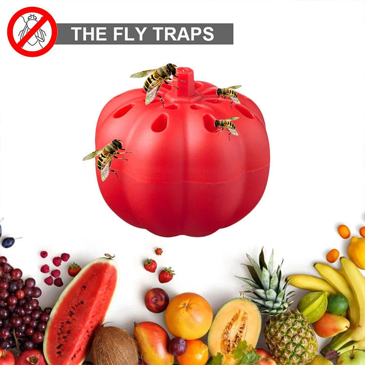 Small Pumpkin Fruit Fly Trap Fly Insect Trap