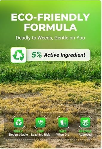 Cyclosinone Herbicide Granules, 200g Each (Pack Of 2)